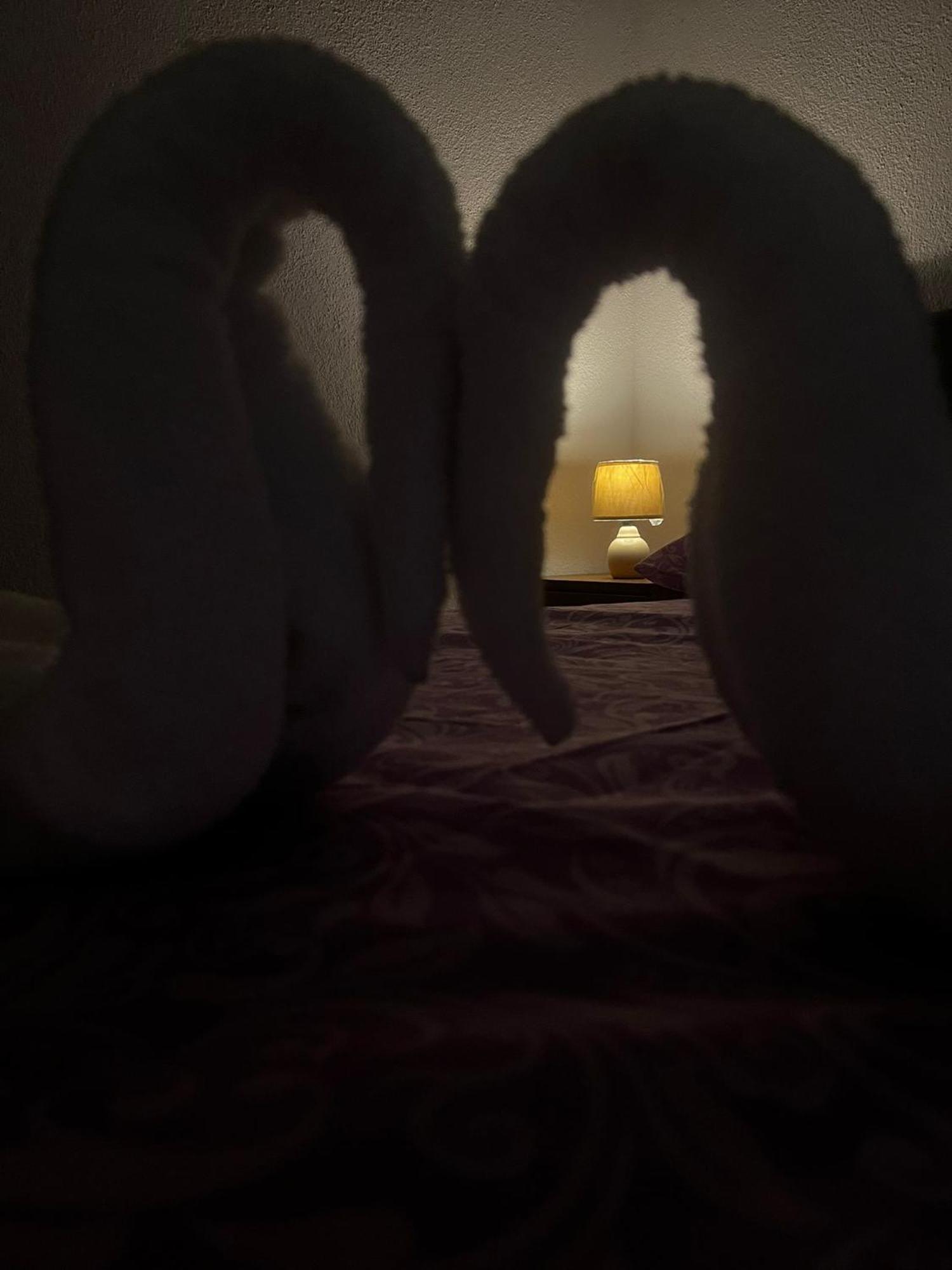 Apartmani Sunce バール エクステリア 写真
